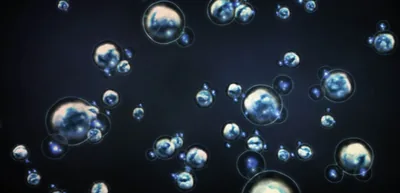 Water molecules greatly magnified.