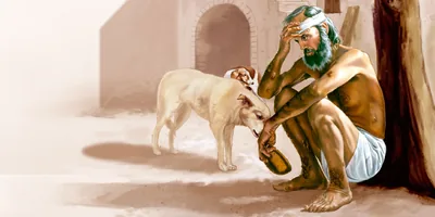 A dog licks Lazarus’ ulcers