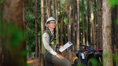A forester assessing trees in a forest.