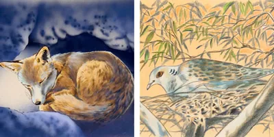 1. A fox in a den; 2. A bird on a roost