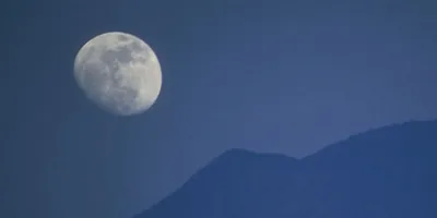 The moon in the night sky.