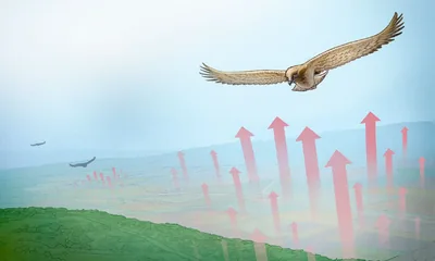 Eagles stay aloft with the help of thermals