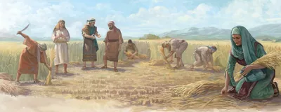 Ruth gathers grain in Boaz’ field