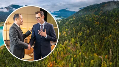 Collage: 1. A brother willingly forgives a brother who apologizes to him at the Kingdom Hall. 2. A beautiful forest of various colors, covering a hillside.