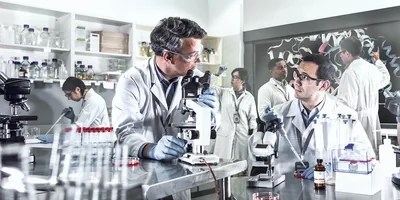 Scientists work in a laboratory