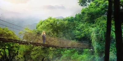 A woman walking on a suspension bridge in a rainforest.