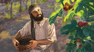 What point should God’s people have learned from Leviticus 19:23-25 , and what lesson do you learn from those verses? (See paragraphs 17-18) d