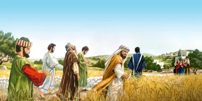Jesus’ disciples plucking and eating grain on the Sabbath