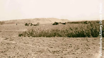 Nineveh became a desolate wasteland!