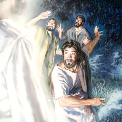 Peter, James, and John see the transfiguration vision