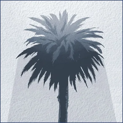 A tree provides shade from the sun