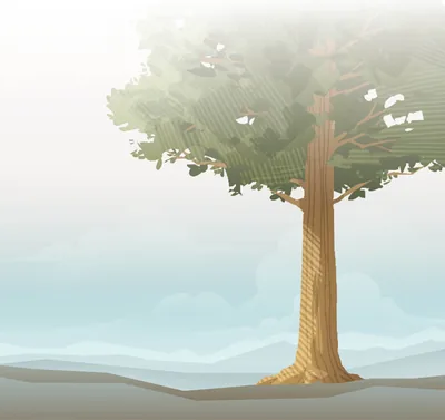 A tree of enormous height.