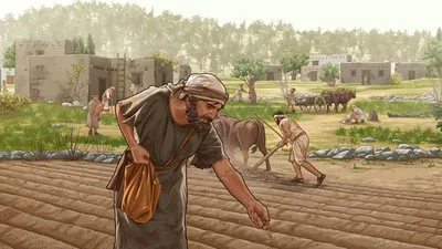 Israelites working hard to cultivate the land. One man sows seed while another plows the field.