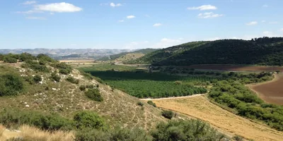 The Valley of Elah