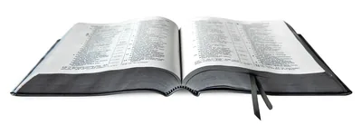 An open Bible