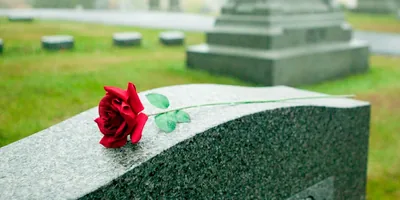 A red rose on top of a tombstone