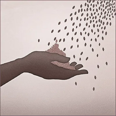 Plenty of food for everyone