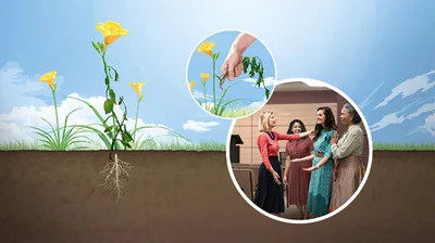 Collage: 1. A healthy wildflower with its roots in fine soil. 2. Someone removing weeds from around the wildflower. 3. Four sisters joyfully talking to one another in a Kingdom Hall.