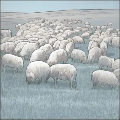A herd of sheep