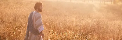 Jesus walking through a field.