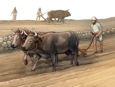 A plowman focuses straight ahead and is not distracted by what is behind him