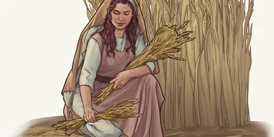 An Israelite woman gleaning grain in a field.